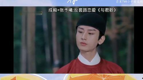 成毅张予曦最新爆料恋情,浪漫瞬间引网友热议